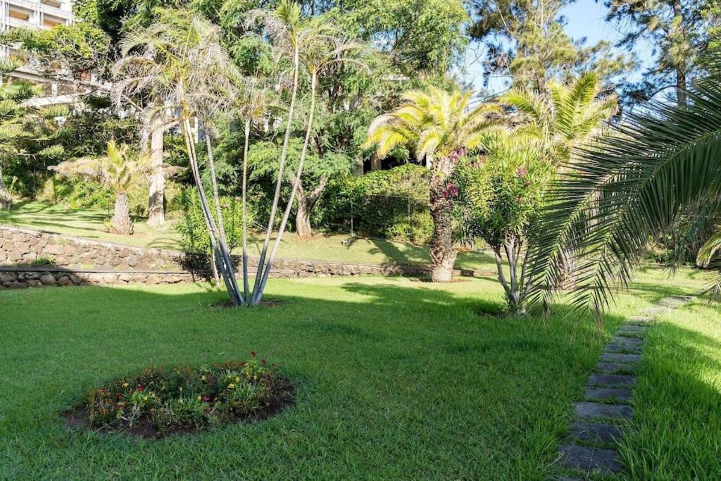 Sunny Bayhill With Swimming Pool Lägenhet Funchal  Exteriör bild